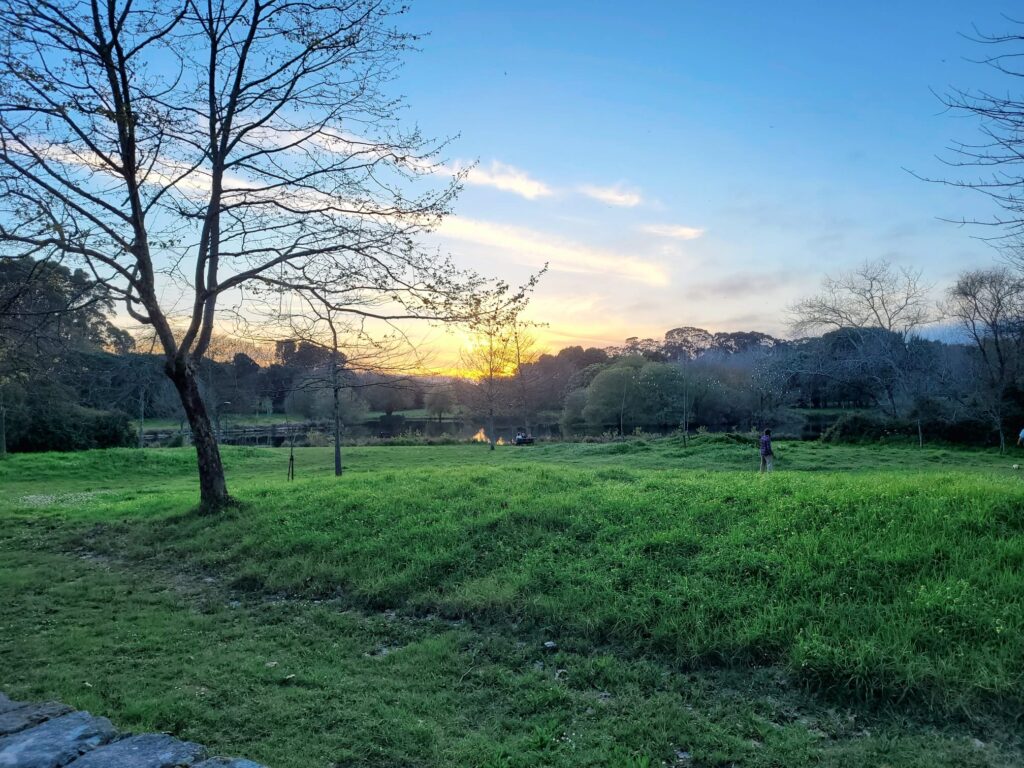 The Green Side of Porto: Parks, Gardens, and Nature Escapes