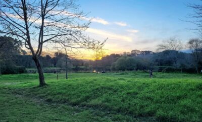 The Green Side of Porto: Parks, Gardens, and Nature Escapes